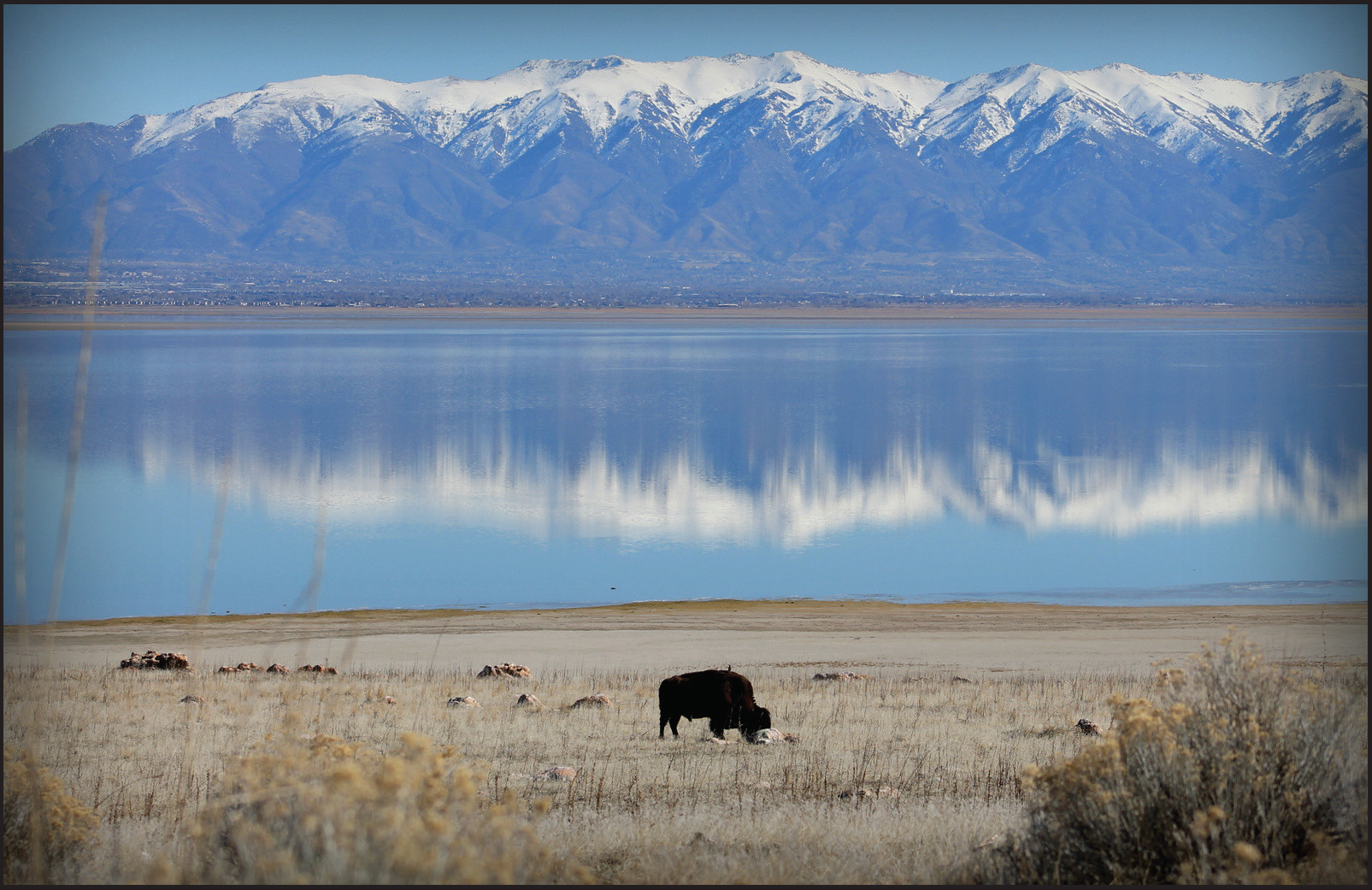 Antelope Island by Justine Johnson