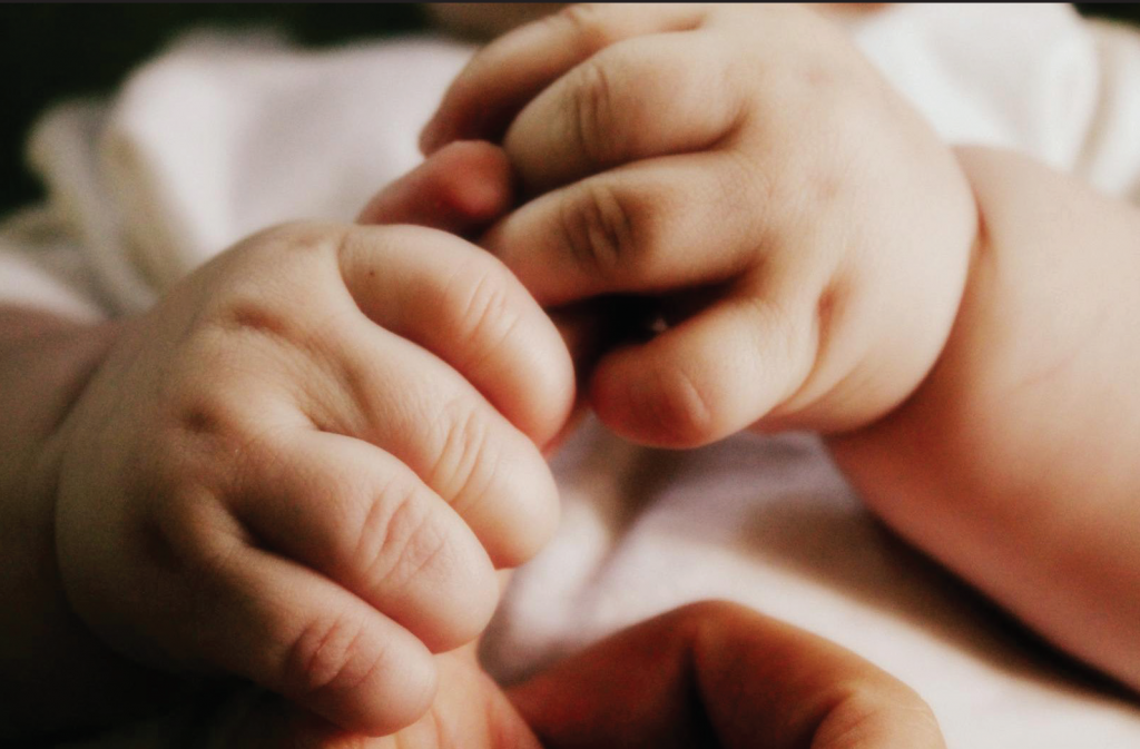 We Are His Hands - Justine Johnson